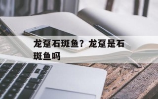 龙趸石斑鱼？龙趸是石斑鱼吗