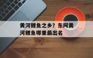 黄河鲤鱼之乡？东阿黄河鲤鱼哪里最出名