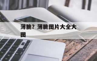 薄脆？薄脆图片大全大图