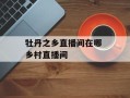 牡丹之乡直播间在哪 乡村直播间