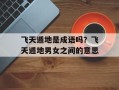 飞天遁地是成语吗？飞天遁地男女之间的意思