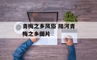 青梅之乡风俗 陆河青梅之乡图片