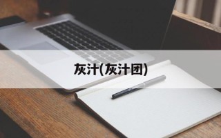 灰汁(灰汁团)