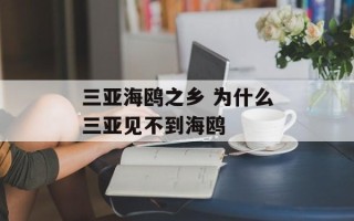 三亚海鸥之乡 为什么三亚见不到海鸥