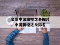 金堂中国脐橙之乡图片，中国脐橙之乡排名