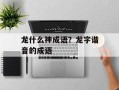 龙什么神成语？龙字谐音的成语