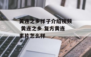 黄连之乡样子介绍视频 黄连之乡 复方黄连素片怎么样