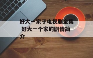 好大一家子电视剧全集 好大一个家的剧情简介