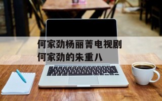 何家劲杨丽菁电视剧 何家劲的朱重八