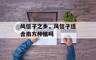风信子之乡，风信子适合南方种植吗