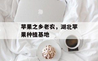苹果之乡老农，湖北苹果种植基地