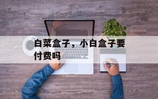 白菜盒子，小白盒子要付费吗