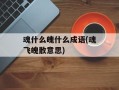 魂什么魄什么成语(魂飞魄散意思)