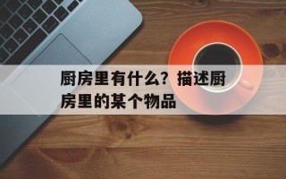 厨房里有什么？描述厨房里的某个物品