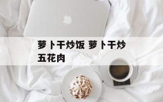 萝卜干炒饭 萝卜干炒五花肉