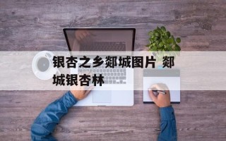 银杏之乡郯城图片 郯城银杏林