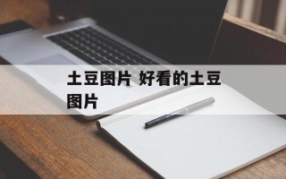 土豆图片 好看的土豆图片