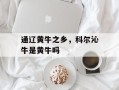 通辽黄牛之乡，科尔沁牛是黄牛吗