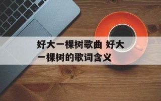 好大一棵树歌曲 好大一棵树的歌词含义