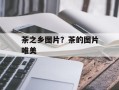 茶之乡图片？茶的图片唯美