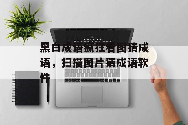 黑白成语疯狂看图猜成语，扫描图片猜成语软件-第1张图片-
