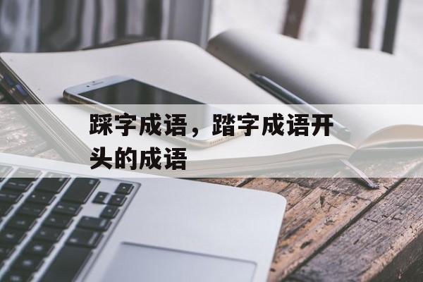 踩字成语，踏字成语开头的成语-第1张图片-