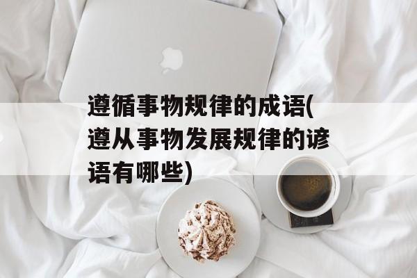 遵循事物规律的成语(遵从事物发展规律的谚语有哪些)-第1张图片-