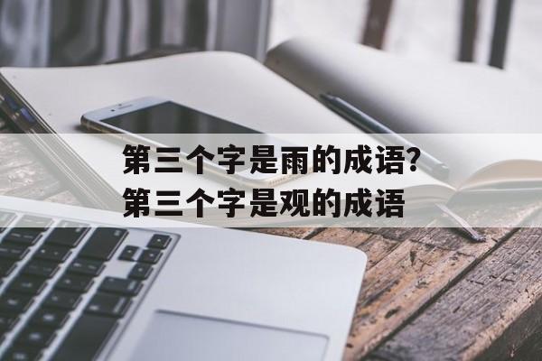 第三个字是雨的成语？第三个字是观的成语-第1张图片-