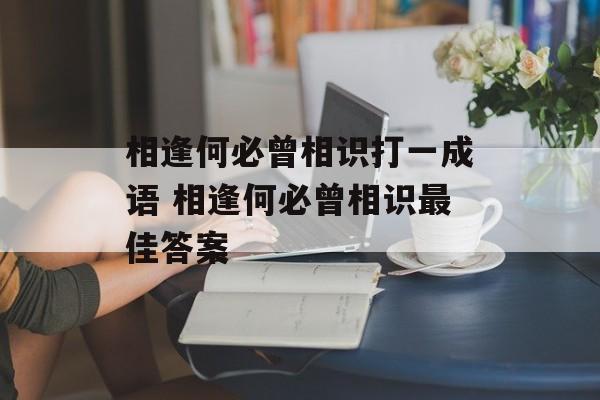 相逢何必曾相识打一成语 相逢何必曾相识最佳答案-第1张图片-