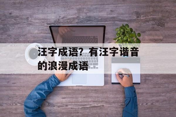 汪字成语？有汪字谐音的浪漫成语-第1张图片-