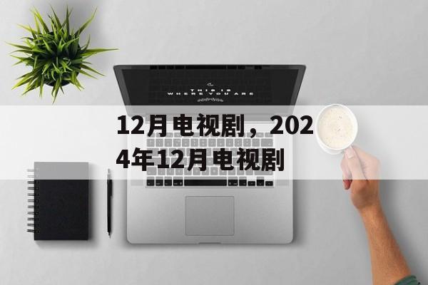 12月电视剧，2024年12月电视剧-第1张图片-