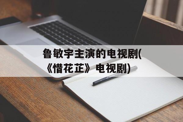 鲁敏宇主演的电视剧(《惜花芷》电视剧)-第1张图片-