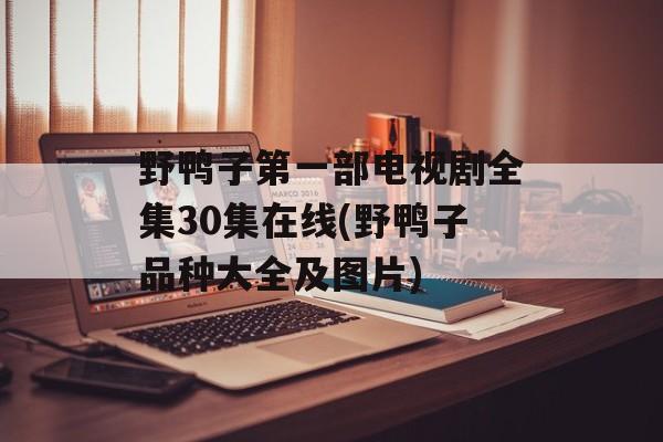 野鸭子第一部电视剧全集30集在线(野鸭子品种大全及图片)-第1张图片-
