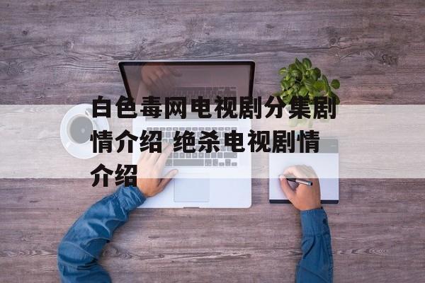 白色毒网电视剧分集剧情介绍 绝杀电视剧情介绍-第1张图片-