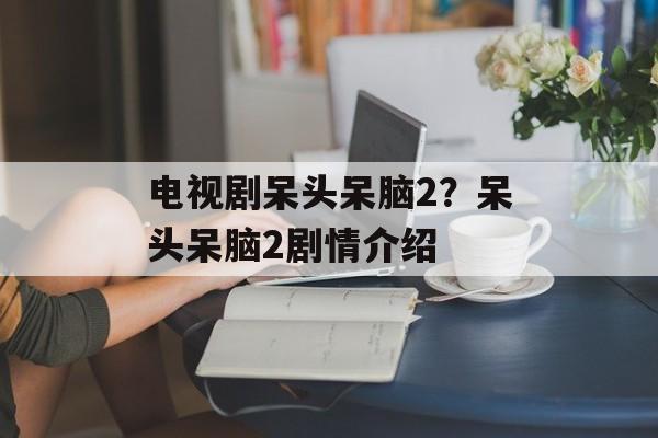 电视剧呆头呆脑2？呆头呆脑2剧情介绍-第1张图片-