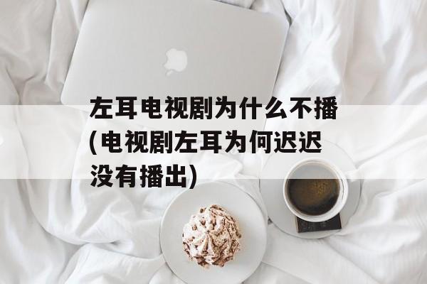 左耳电视剧为什么不播(电视剧左耳为何迟迟没有播出)-第1张图片-