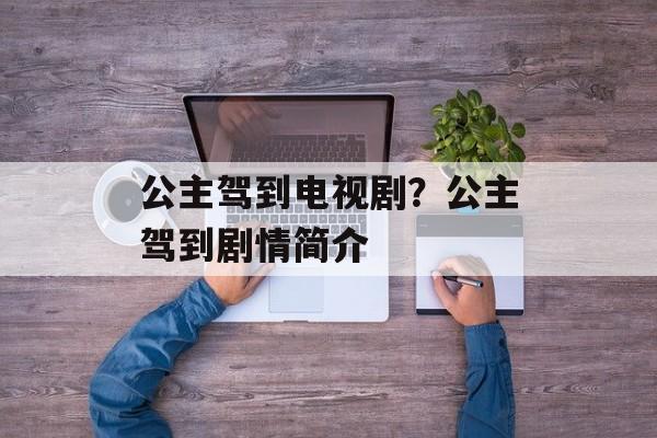 公主驾到电视剧？公主驾到剧情简介-第1张图片-