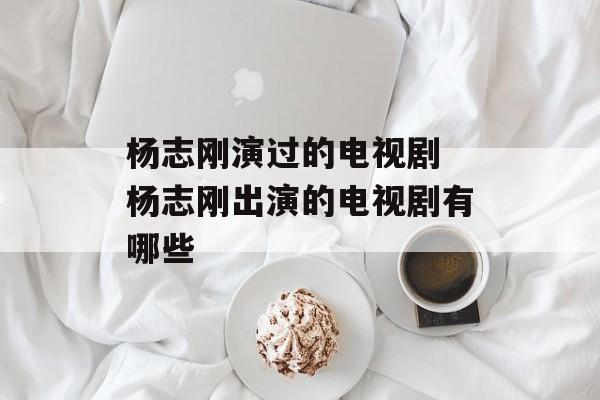 杨志刚演过的电视剧 杨志刚出演的电视剧有哪些-第1张图片-