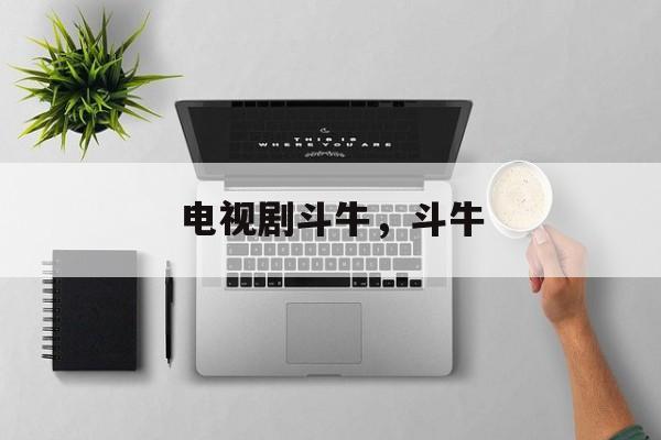 电视剧斗牛，斗牛-第1张图片-