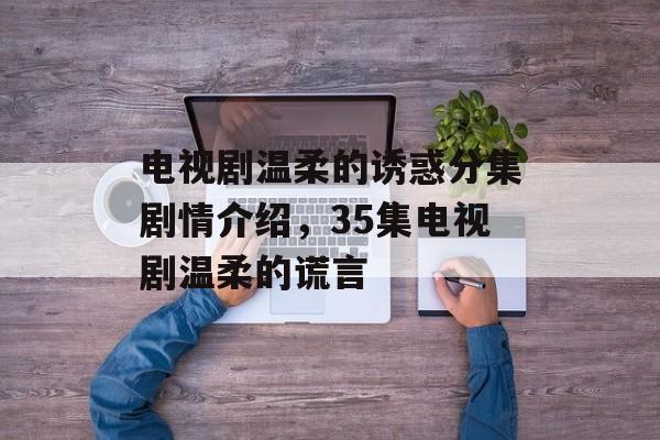 电视剧温柔的诱惑分集剧情介绍，35集电视剧温柔的谎言-第1张图片-