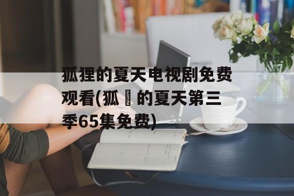 狐狸的夏天电视剧免费观看(狐貍的夏天第三季65集免费)-第1张图片-