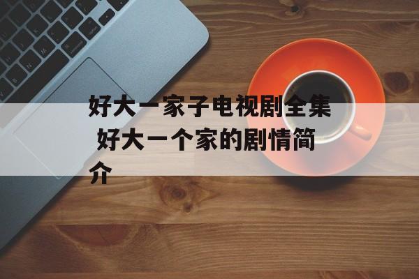 好大一家子电视剧全集 好大一个家的剧情简介-第1张图片-