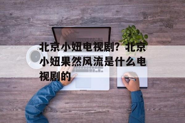 北京小妞电视剧？北京小妞果然风流是什么电视剧的-第1张图片-