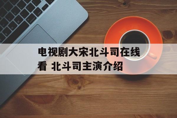 电视剧大宋北斗司在线看 北斗司主演介绍-第1张图片-