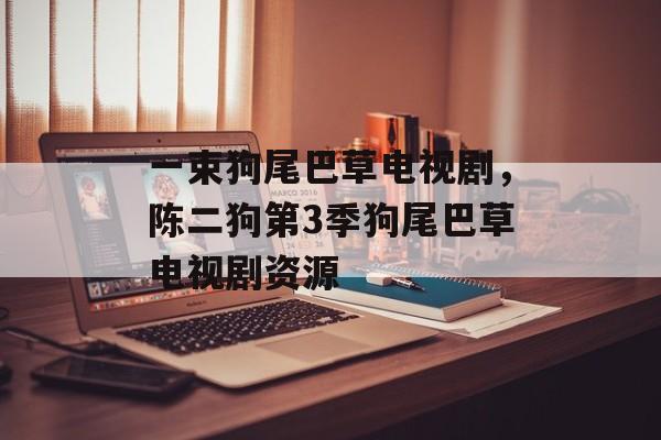 一束狗尾巴草电视剧，陈二狗第3季狗尾巴草电视剧资源-第1张图片-