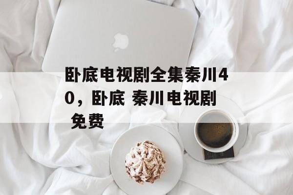 卧底电视剧全集秦川40，卧底 秦川电视剧 免费-第1张图片-