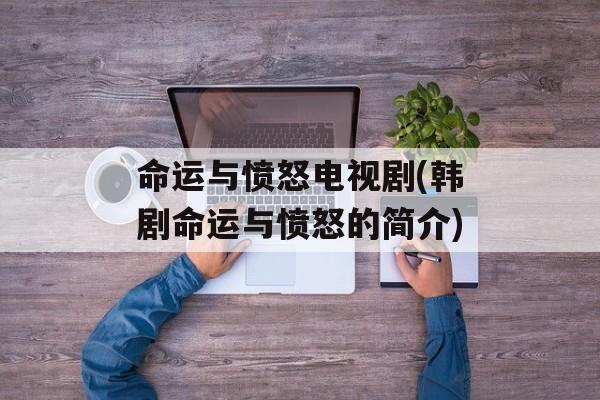 命运与愤怒电视剧(韩剧命运与愤怒的简介)-第1张图片-