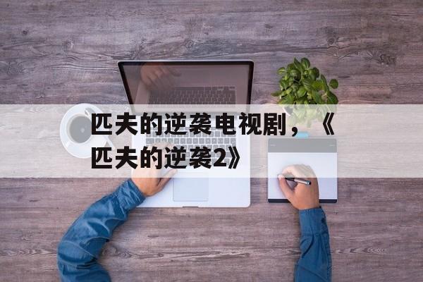 匹夫的逆袭电视剧，《匹夫的逆袭2》-第1张图片-