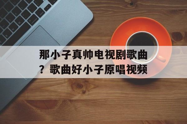 那小子真帅电视剧歌曲？歌曲好小子原唱视频-第1张图片-