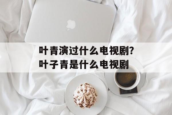 叶青演过什么电视剧？叶子青是什么电视剧-第1张图片-